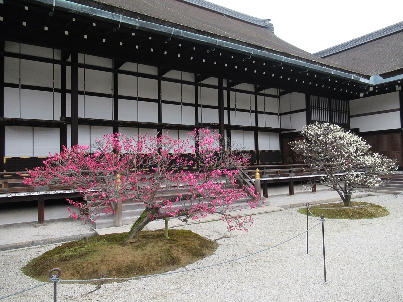 Otsunegoten（Imperial Residential Palace） 2
