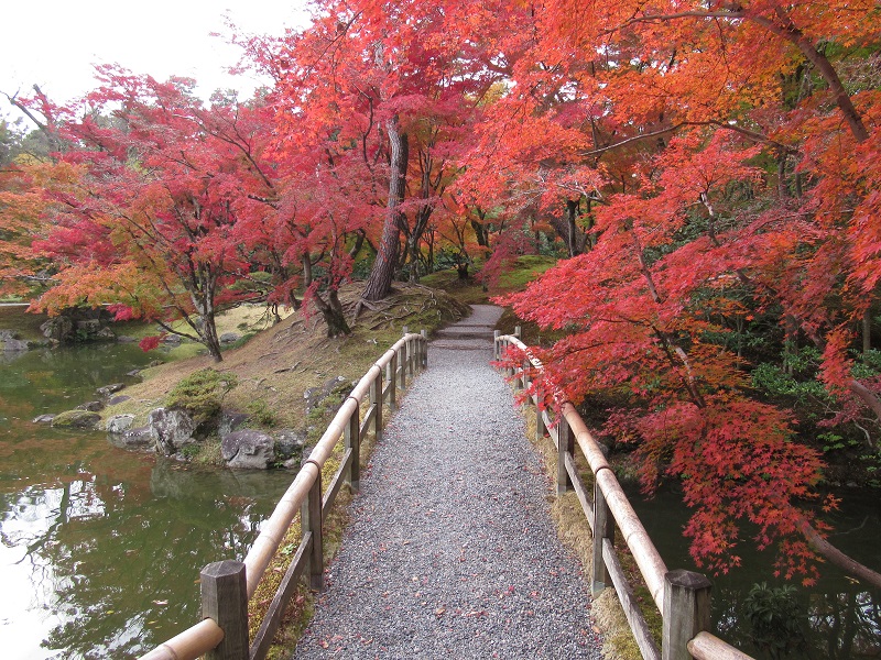 Momijibashi (Pont d'érable) / Momijiyama (Monticule d'érable) 2
