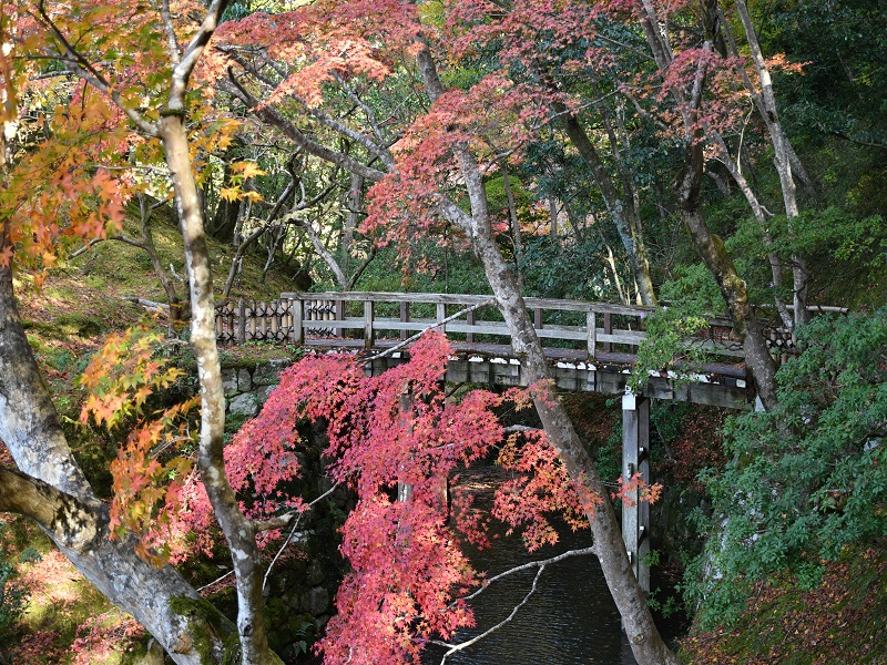 Kaedebashi (Maple Bridge)・Dobashi  (Earthen Bridge) 1
