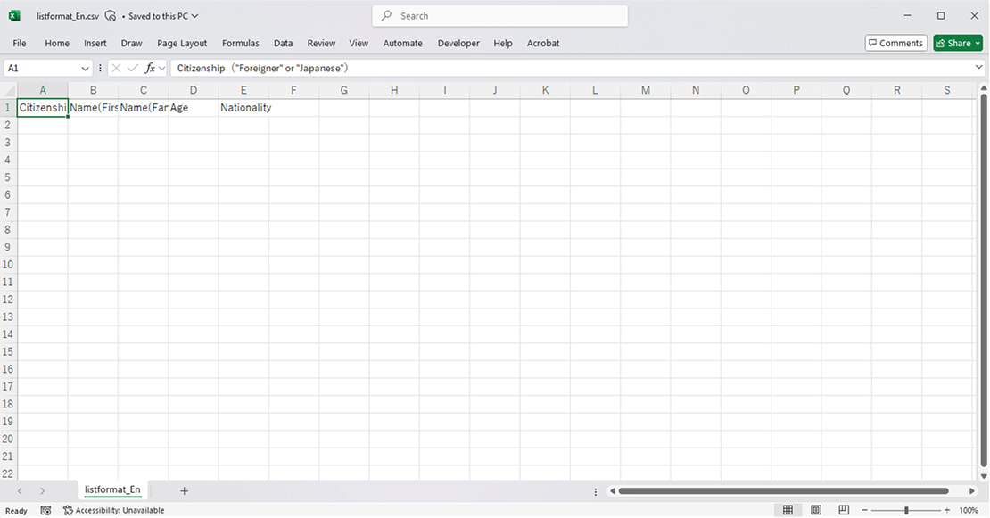 Example screen of opening the file in Excel