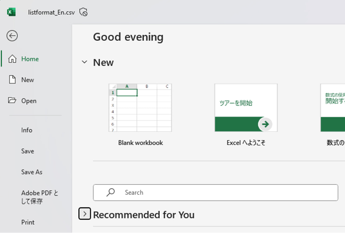 Example screen of save the file in Excel