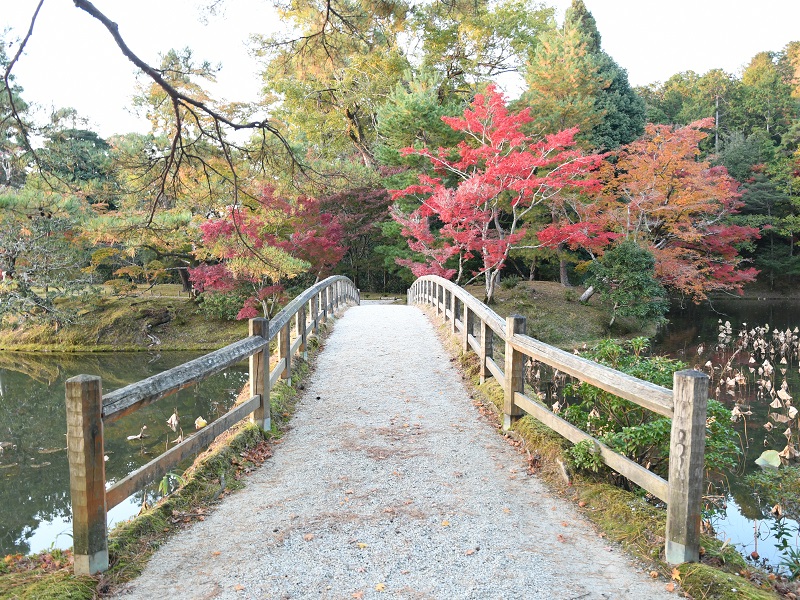 Kaedebashi (Maple Bridge)・Dobashi  (Earthen Bridge) 4