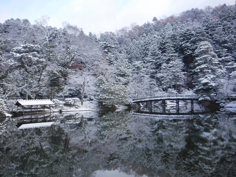 Yokuryūchi Pond3